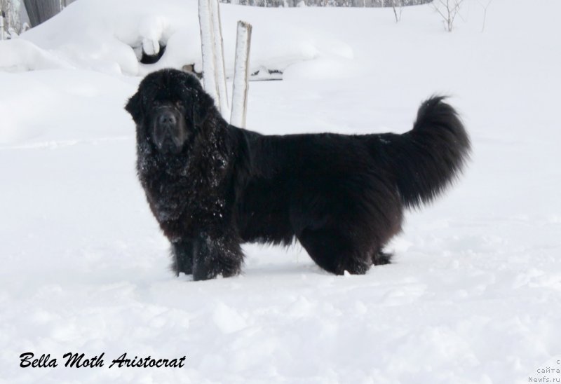 Фотография № 141796