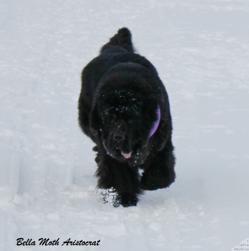 Фотография № 141797