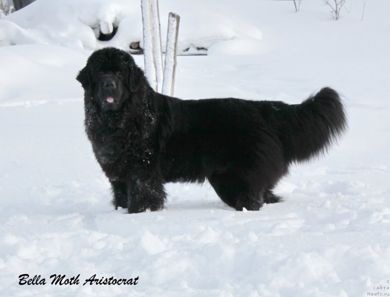 Фотография № 141798