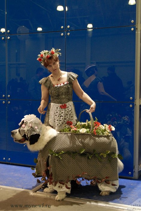 Фото: Ирина Долотова