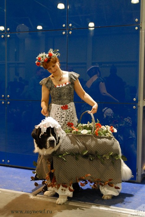 Фото: Ирина Долотова