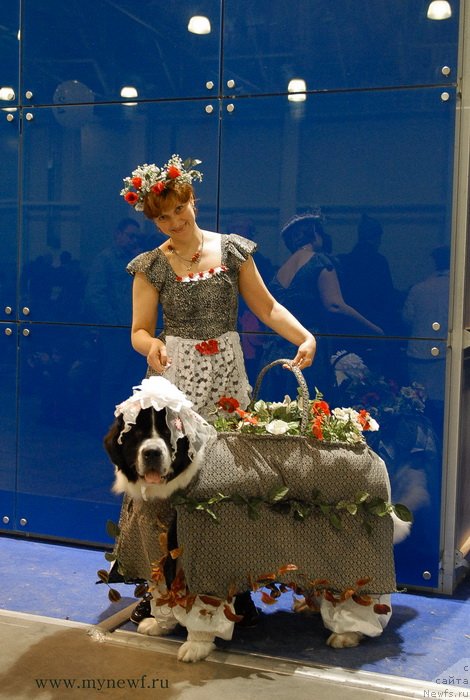 Фото: Ирина Долотова