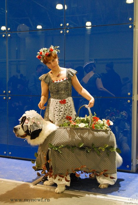 Фото: Ирина Долотова