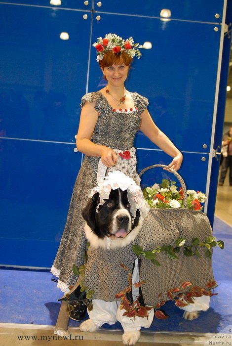 Фото: Ирина Долотова