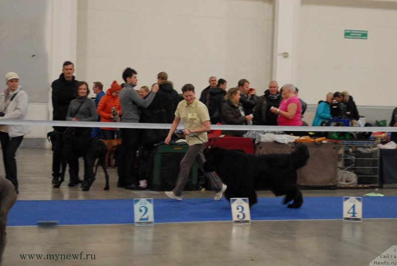 Фотография № 141818