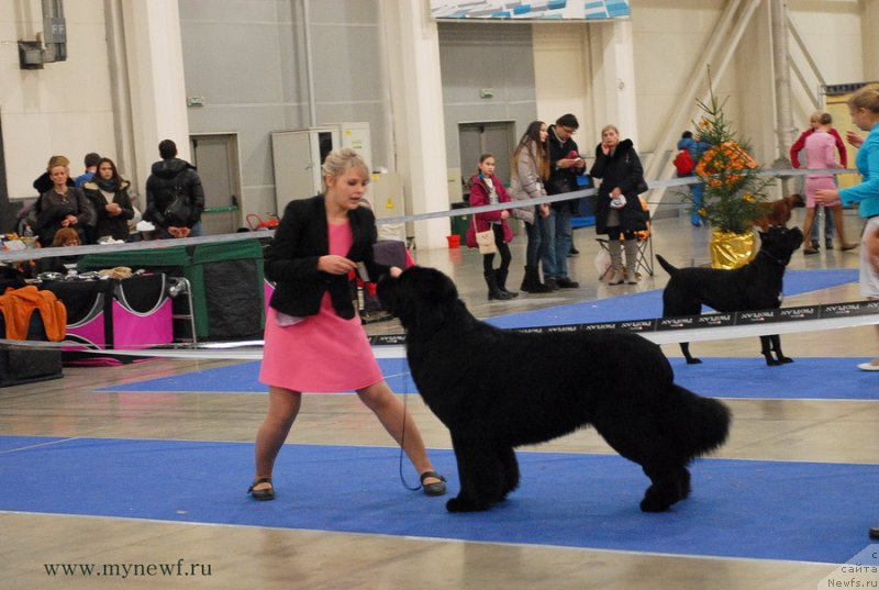 Фотография № 141822