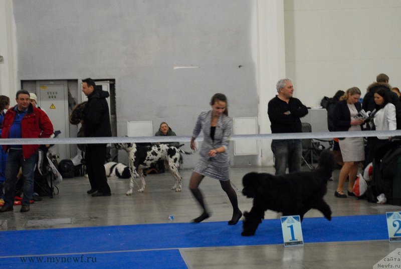 Фотография № 141823