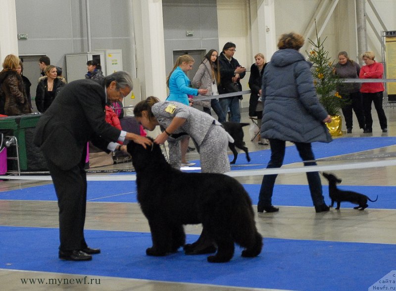 Фотография № 141825