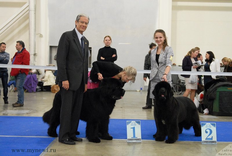 Фотография № 141829