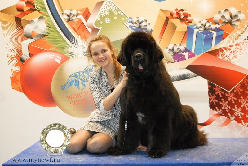 Фотография № 141833