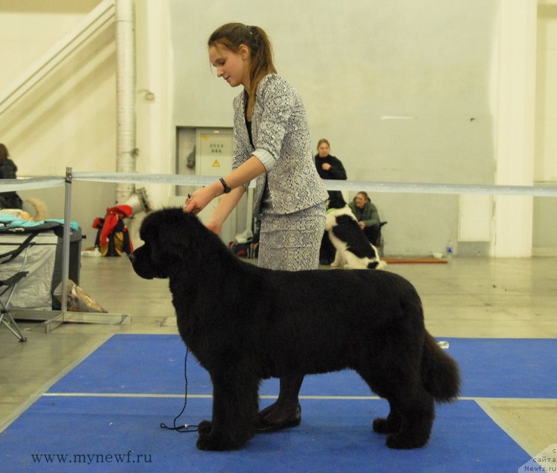 Фотография № 141834