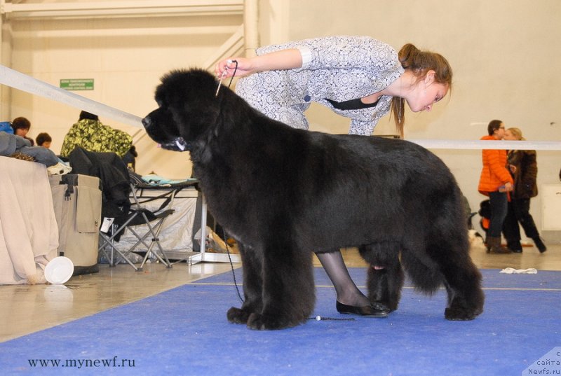 Фотография № 141835