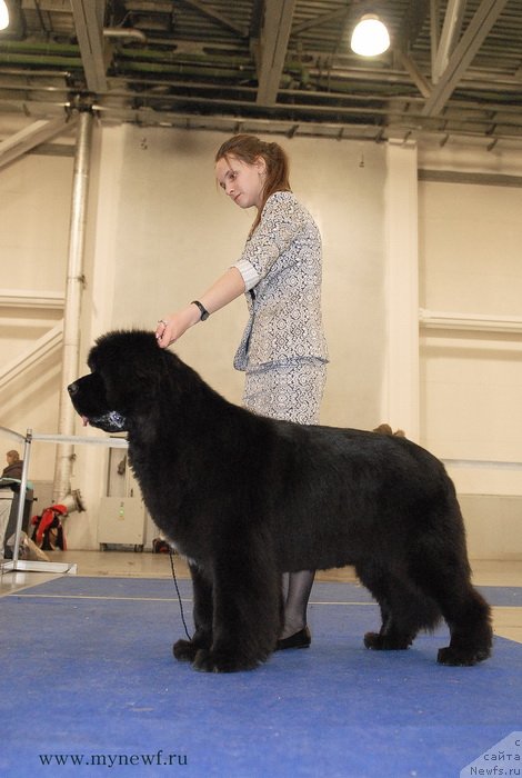 Фотография № 141836