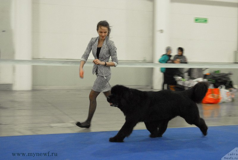 Фотография № 141838