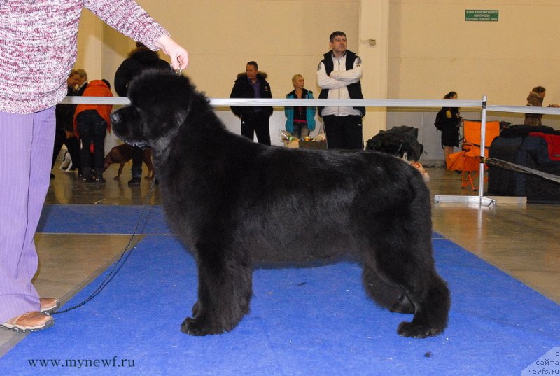 Фотография № 141839