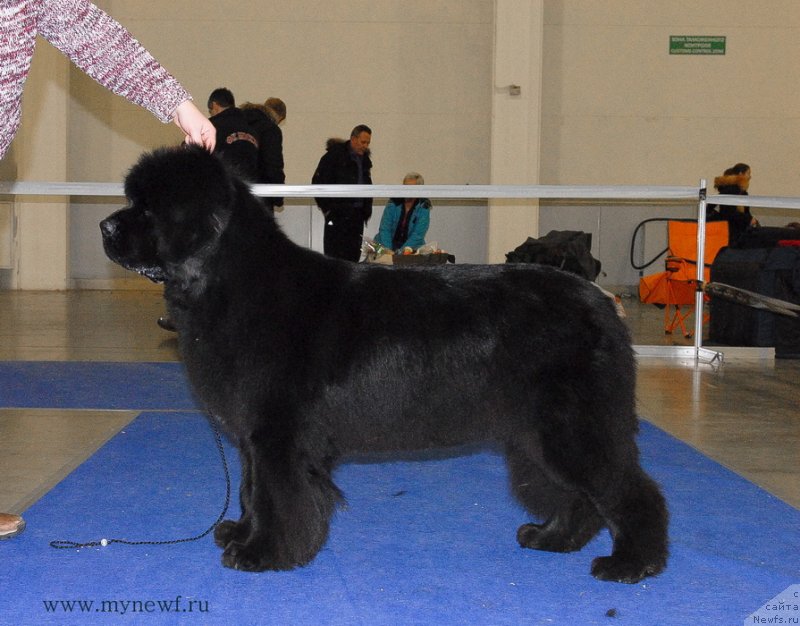 Фотография № 141840