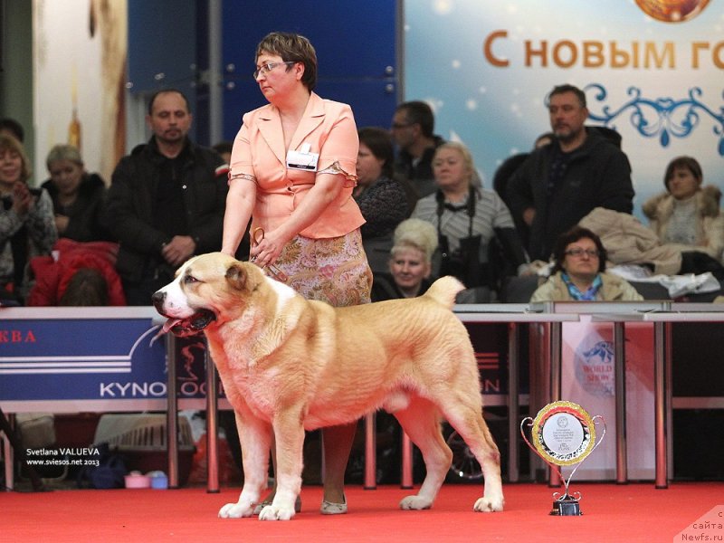 Фотография № 141843