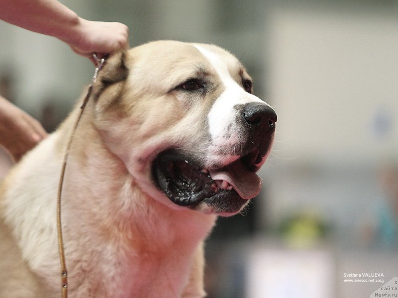 Фотография № 141844