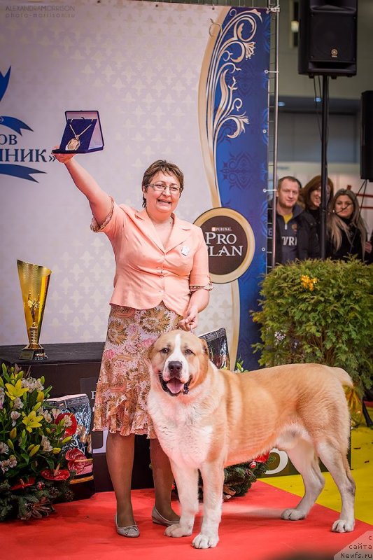 Фотография № 141849