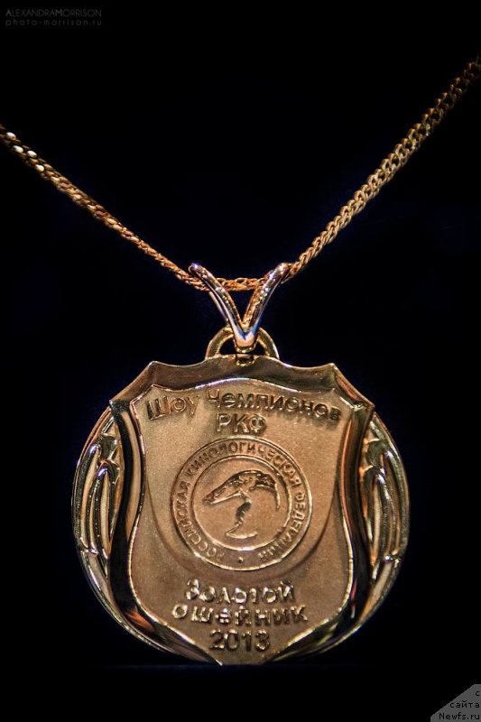 Фотография № 141850