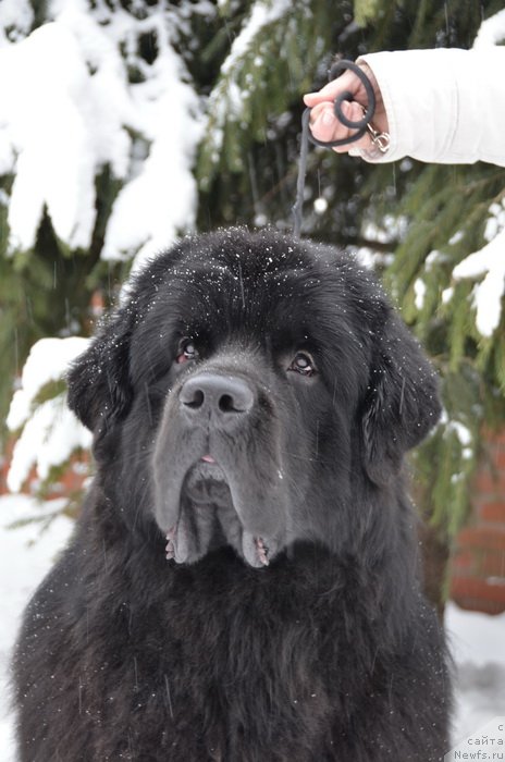 Фотография № 141853