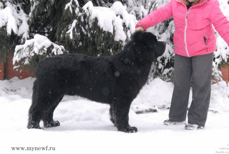 Фотография № 141855