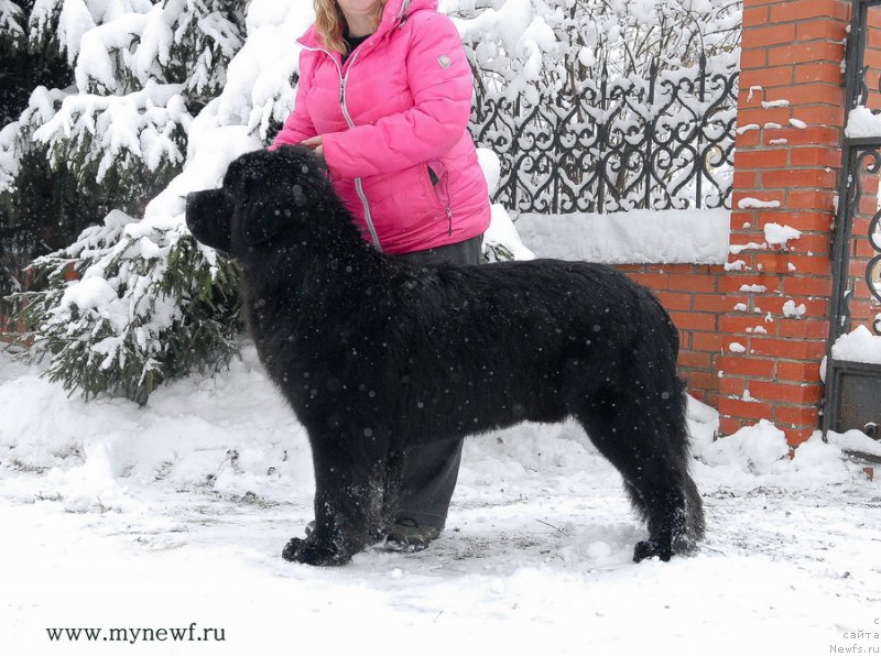 Фотография № 141856