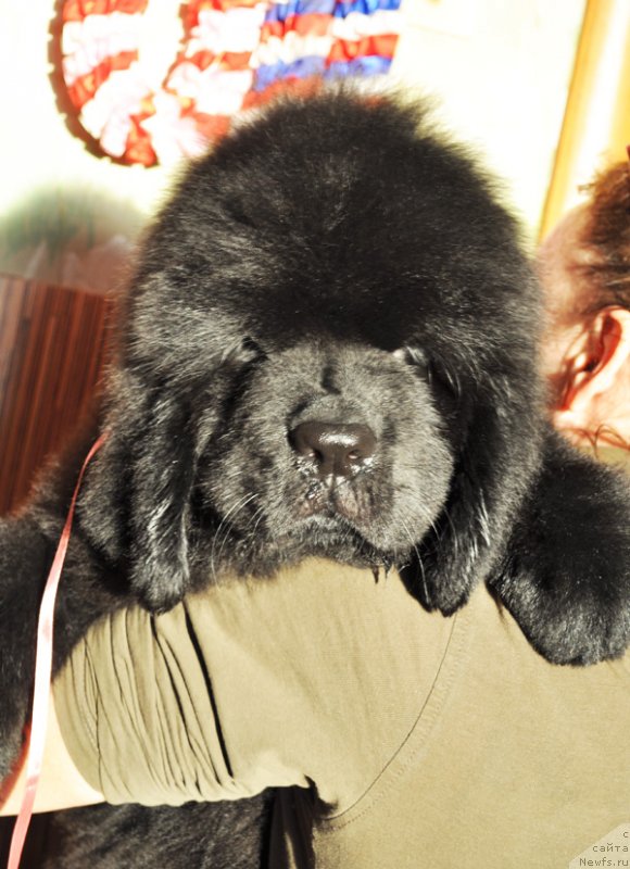 Фото: Бегущая по волнам Ричин Старс