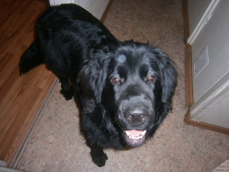 Фотография № 141885