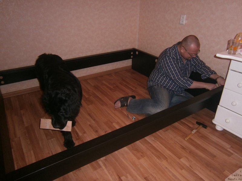 Фотография № 141886