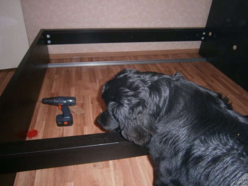 Фотография № 141887