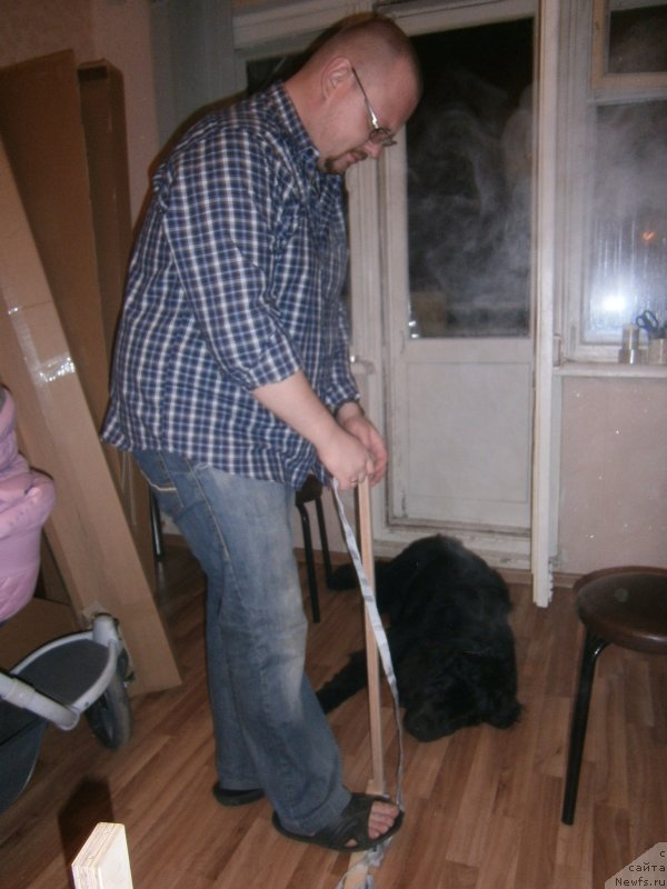 Фотография № 141888