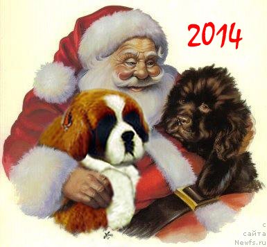 Фотография № 141913