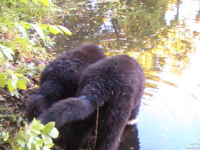 Фотография № 14192