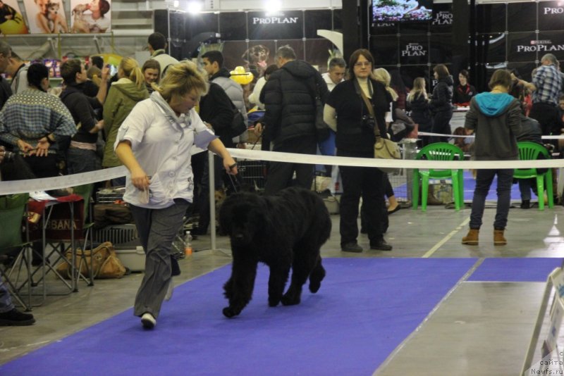 Фотография № 141930