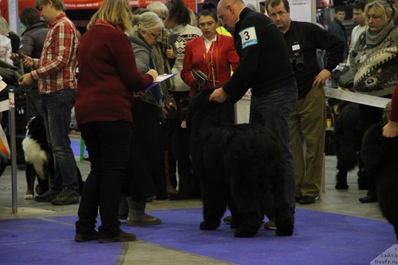 Фотография № 141932