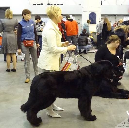 Фотография № 141933