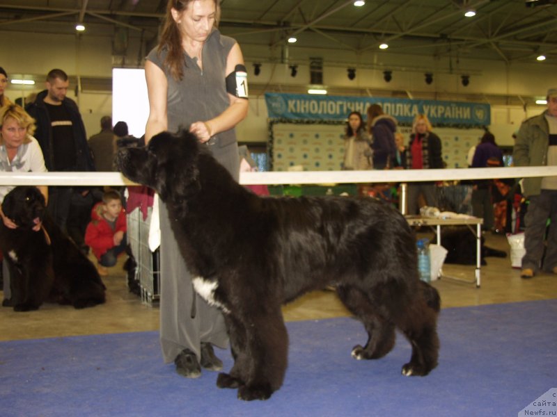 Фотография № 141936