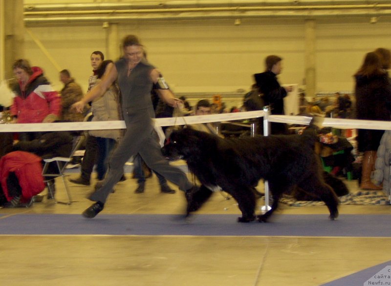 Фотография № 141937