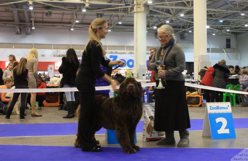 Фотография № 141952