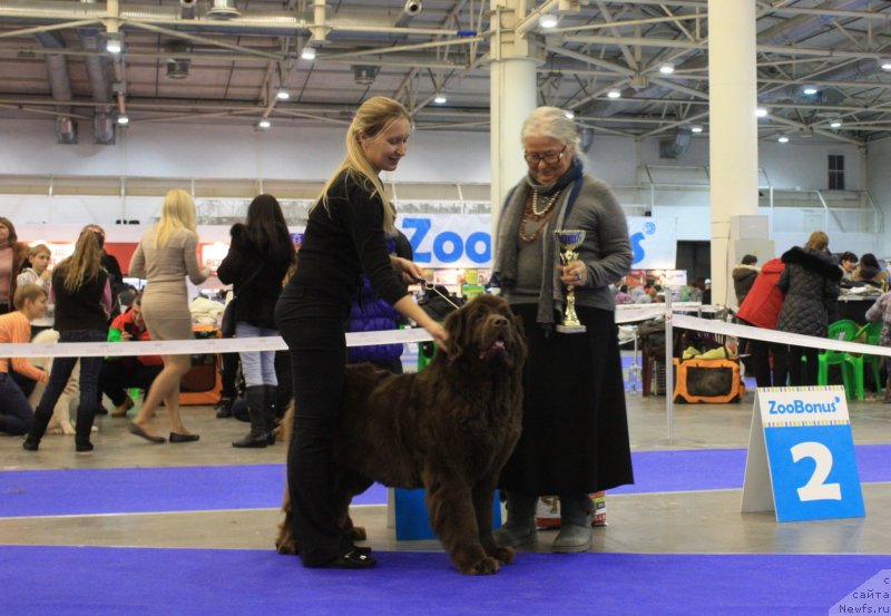 Фотография № 141953