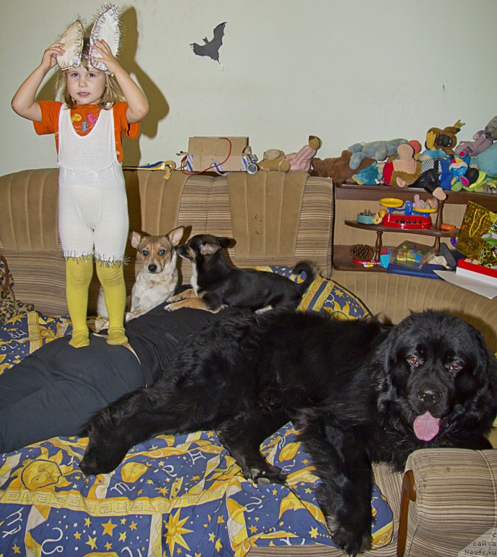 Фотография № 141970