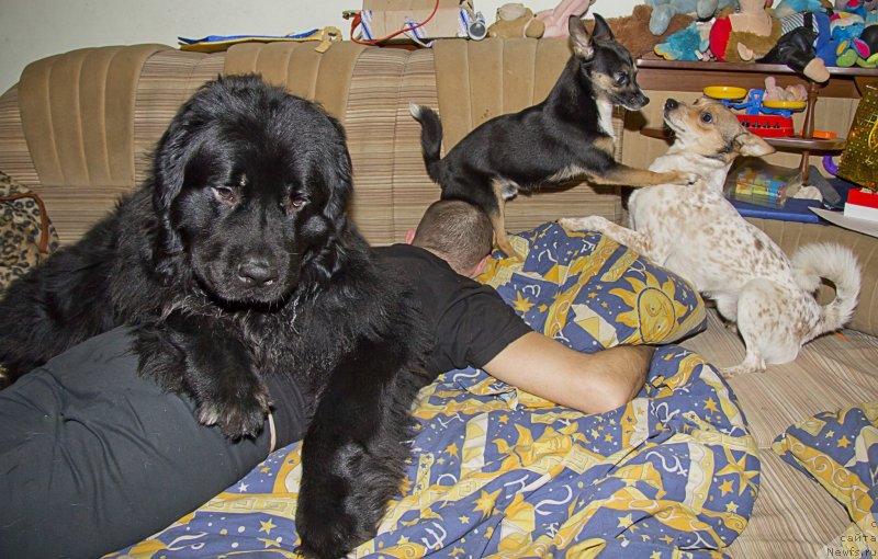 Фотография № 141971