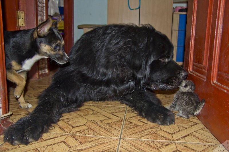 Фотография № 141972