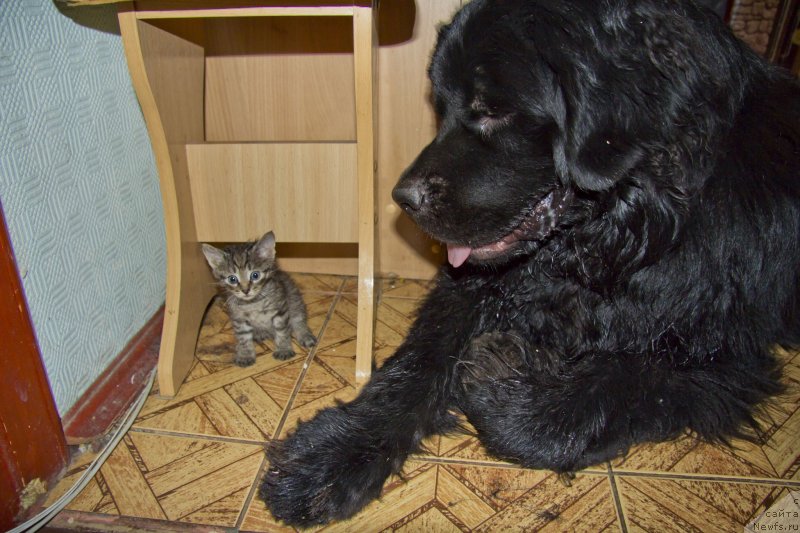 Фотография № 141973