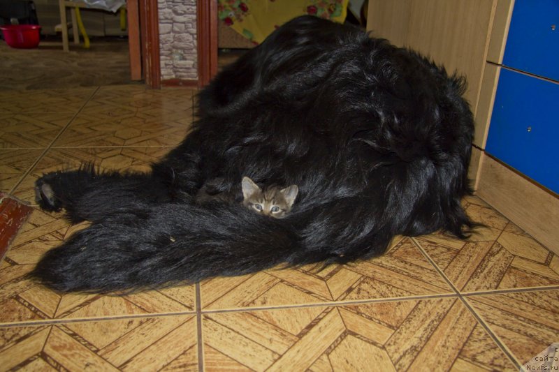 Фотография № 141974