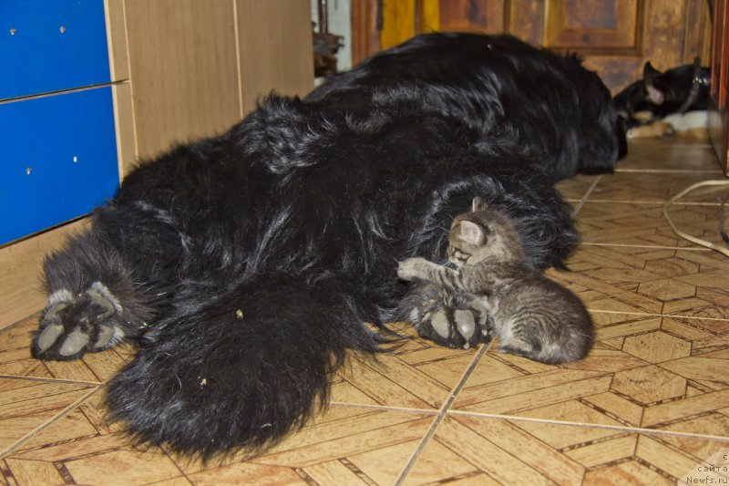 Фотография № 141975