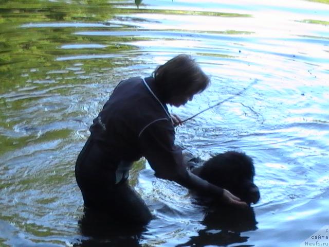 Фотография № 14201