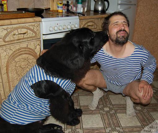 Фотография № 14206