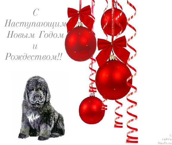 Фотография № 142150